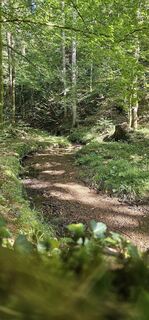 Photo de Thomas T le long du parcours