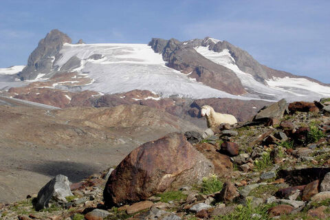 Hochvernagtspitze