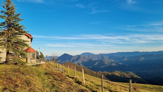 Photo de Hermanngonaus le long du parcours