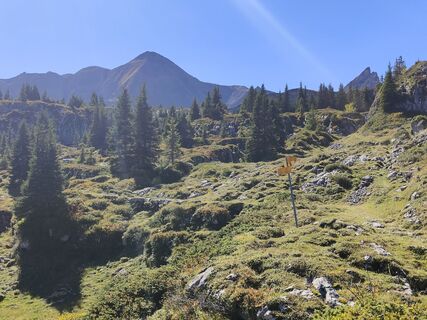 Fotografia z Darius Amarapura na trase