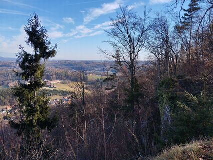 Zdjęcie z Stephane Cappellaro wzdłuż trasy