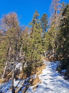 Fotografija s spletne strani Daniela König 1 na poti