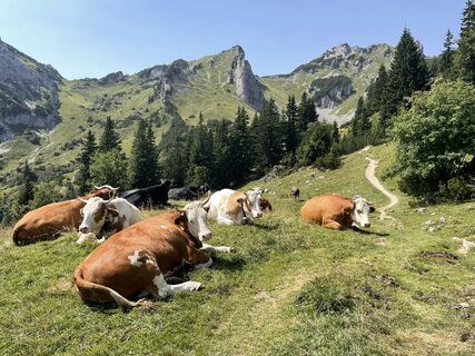 Fotografija s spletne strani Jochen Ziegler na poti