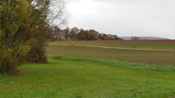 Felder bei Diefenbach