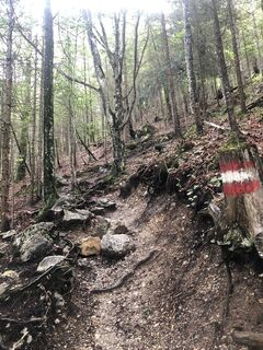 Photo de Samy Waltersam le long du parcours