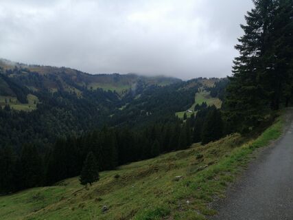 Photo de M-C-B le long du parcours