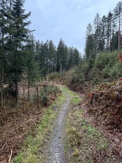 Foto von Rfelbing entlang der Tour