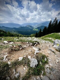 Zdjęcie z Kellner Heidi wzdłuż trasy