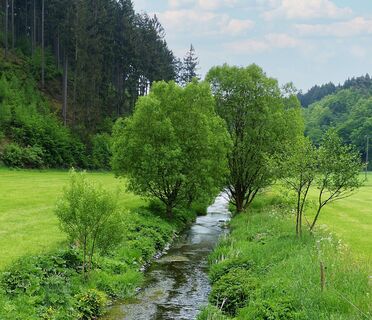 Natursteig Sieg Etappe 9