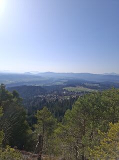 Fotografie z Miha Gros na trase