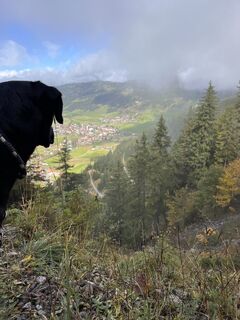 Foto von Joel Schmiddunser entlang der Tour