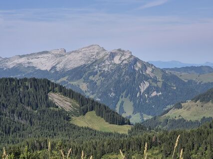 Photo de Thomi W le long du parcours
