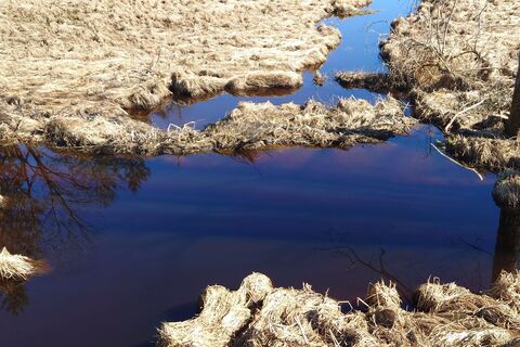 Foto de Guenther Hahn a lo largo del recorrido