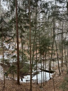 Foto de Georgiamartin0815 a lo largo del recorrido