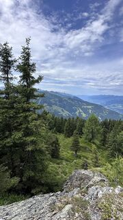 Photo de Mountain Cat ? ⛰️ le long du parcours