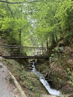 Foto von Erzsébet Harangozó entlang der Tour