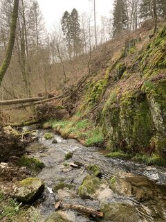 Photo from vieletausendkilometer along the tour