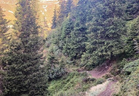Aussicht auf der Rundtour Alp Glivers