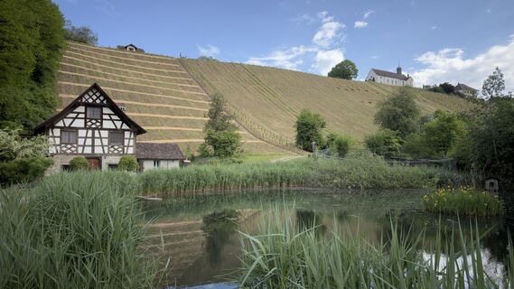 Foto von Peter Burki entlang der Tour