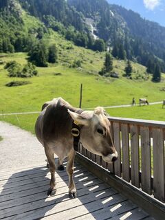 Foto von Ben Möhlmann entlang der Tour