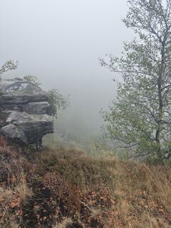 Foto von Steffen Kiesel entlang der Tour