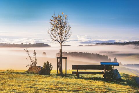 Alpenpanoramabänkle im herbstlichen Nebel