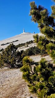 Foto de Fabrizi Mellano a lo largo del recorrido