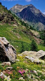 Photo de Fabrizi Mellano le long du parcours