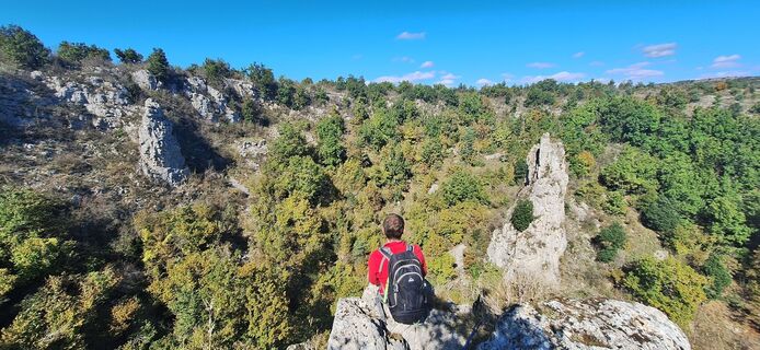 georando sorbs 33 -@ Sylvie Villedieu - CD34