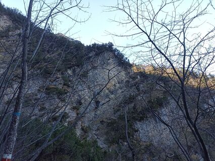 Foto de milena livieri a lo largo del recorrido