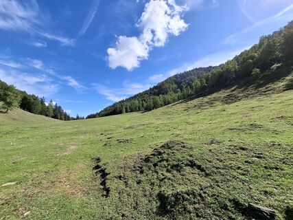 Foto von Anneliese Kupfer entlang der Tour