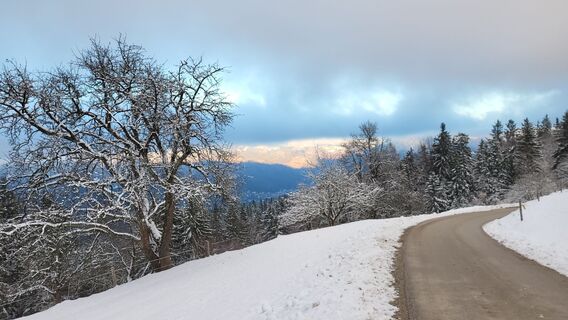 Photo de Bernarda le long du parcours