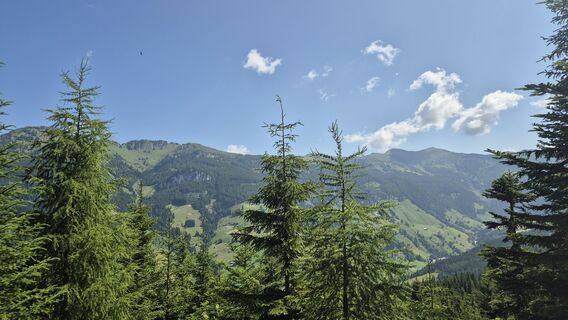 Fotografie z Wolferl na trase