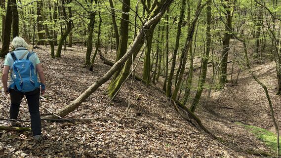 Foto von hob2020 entlang der Tour