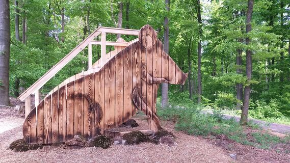 Wildschwein Podest