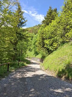 Foto von Miha Gros entlang der Tour