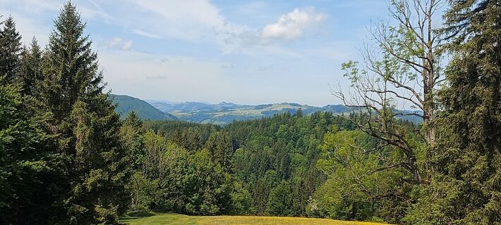 Foto von Klaus Gruber 3 entlang der Tour