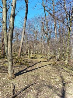 Foto von Julika Jármer entlang der Tour