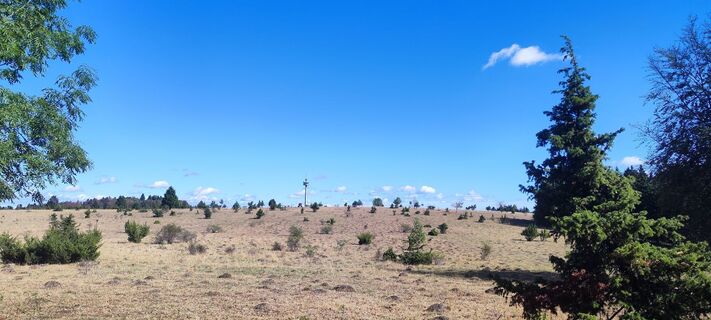 Foto de Andre Roos a lo largo del recorrido