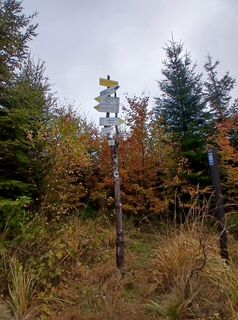 Foto von Daniel Kremiec entlang der Tour