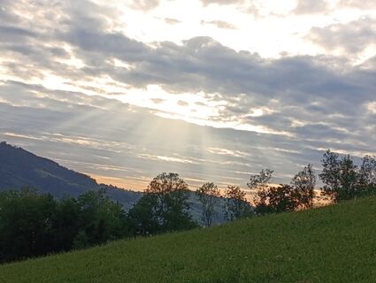 Photo de Meli le long du parcours