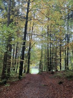 Photo de WaGla le long du parcours