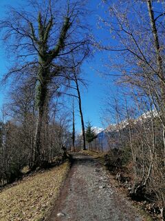 Foto från luyyy under resans gång