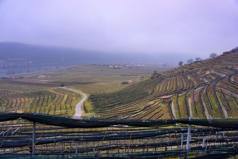 Zdjęcie z Walter Köllner wzdłuż trasy