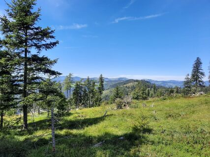 Ausblick vom Zetz Gipfel in der Oststeiermark