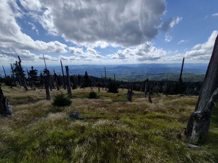 Foto von Wollomator entlang der Tour