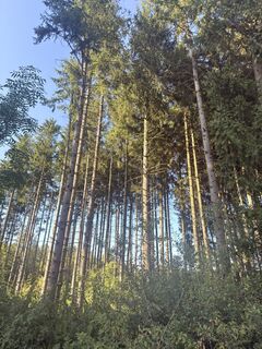 Zdjęcie z M2504 wzdłuż trasy