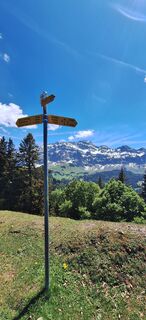 Photo de Gaby Brühwiler le long du parcours