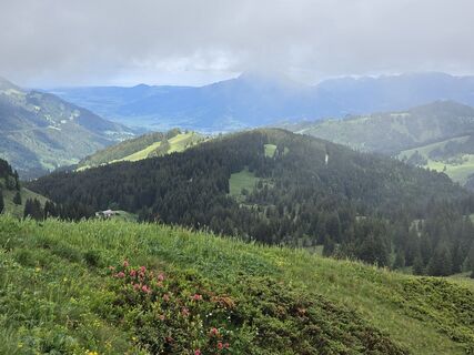 Photo de Gudrun Lippert le long du parcours
