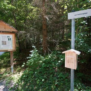 Wanderpass Station